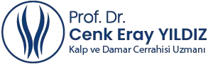 Prof. Dr. Cenk Eray Yıldız